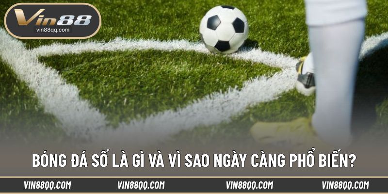 Giải pháp theo dõi bóng đá tiện lợi mỗi ngày