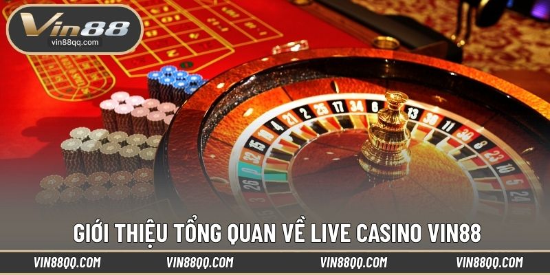 Giới thiệu tổng quan về live casino VIN88