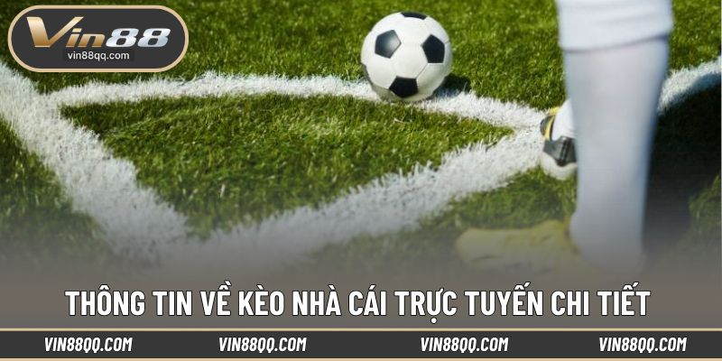Hình thức soi kèo cập nhật theo thời gian thực