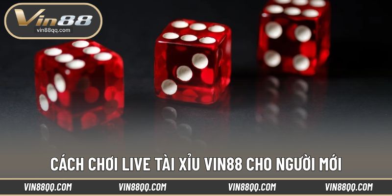 Hướng dẫn từng bước dễ tiếp cận với live tài xỉu