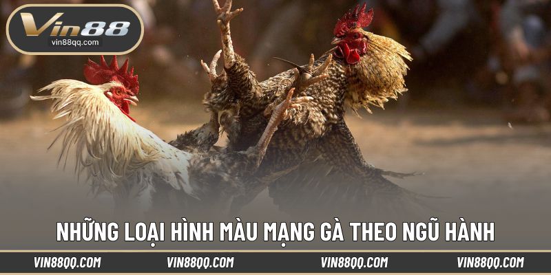 Những loại hình màu mạng gà theo ngũ hành