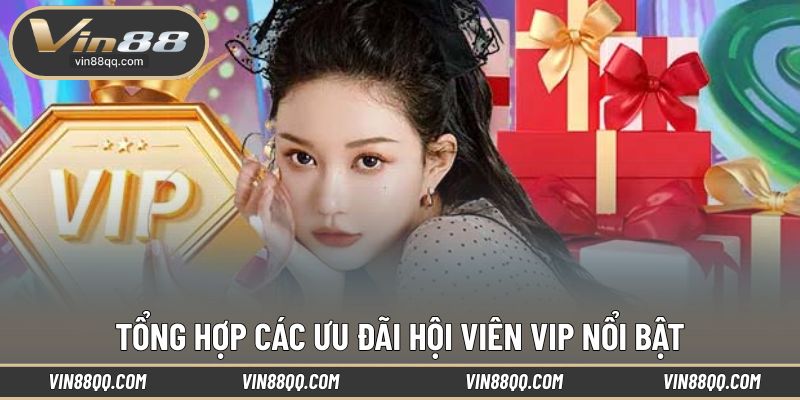 Những ưu đãi hội viên VIP đặc biệt tại nền tảng